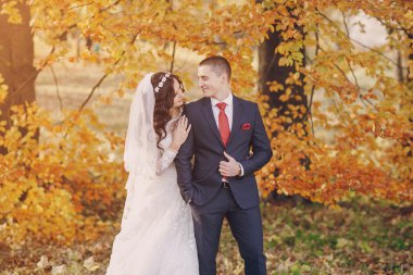 Harika düğün günü