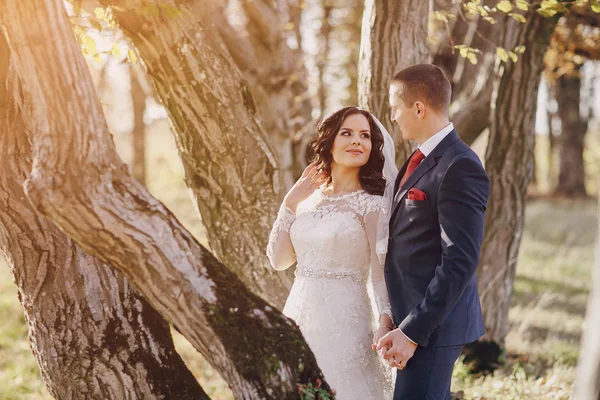 Wonderful wedding day — Stock Photo, Image