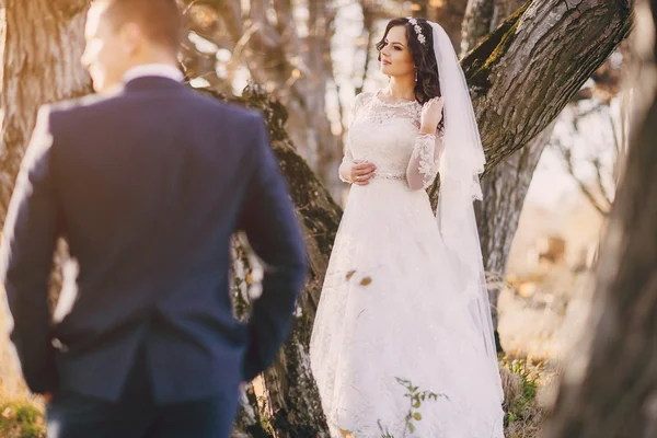 Maravilloso día de boda — Foto de Stock