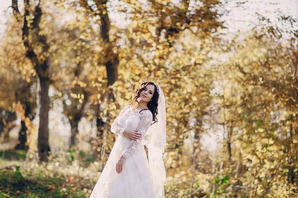 Maravilloso día de boda — Foto de Stock