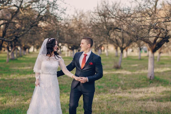 Wonderful wedding day — Stock Photo, Image