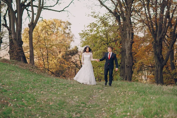 Merveilleux jour de mariage — Photo