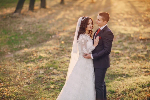 Meraviglioso giorno del matrimonio — Foto Stock