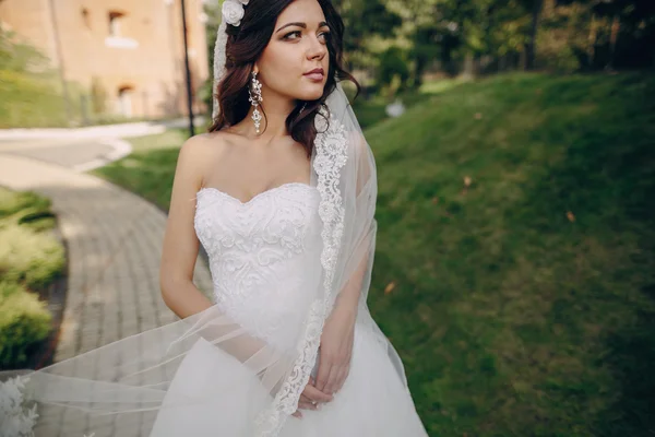 Magical festive wedding day — Stock Photo, Image