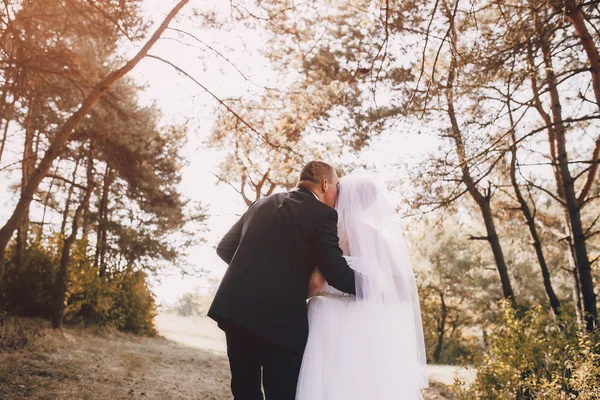 Dia do casamento hd — Fotografia de Stock