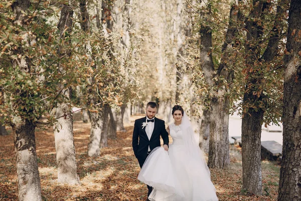 Día de la boda HD — Foto de Stock