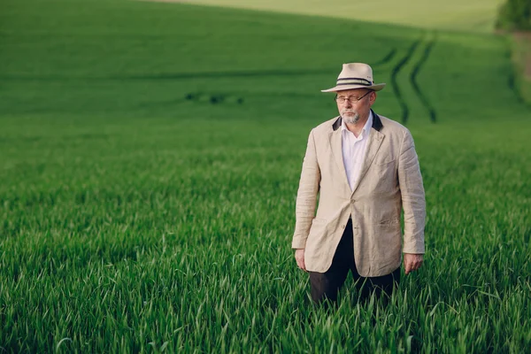 Old man in field — Stock Photo, Image