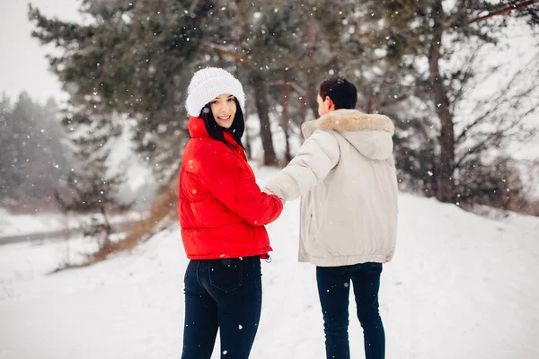 Sevgili çift kış parkında yürüyor. — Stok fotoğraf