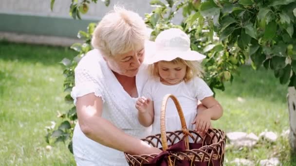Бабушка и внучка собирают яблоко с дерева в солнечном саду — стоковое видео