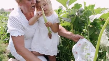 Büyükanne ve torun yeşil bir çiftlik çiftliğinde oturuyorlar.
