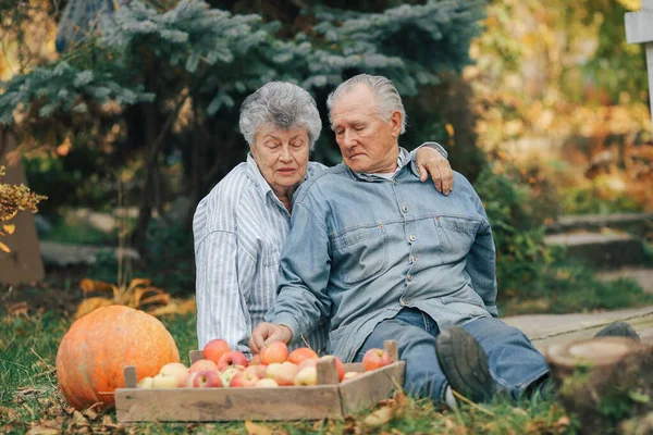 Старая пара сидит в летнем саду с урожаем — стоковое фото