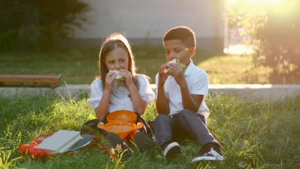 Multethnic klassekammerater spiser sandwich på græsset – Stock-video
