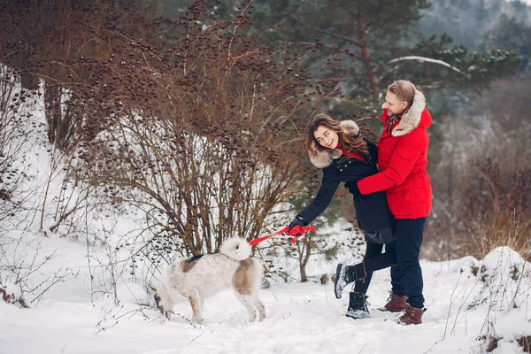 Belo casal brincando com um cão — Fotografia de Stock