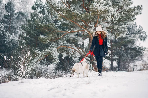 Beautiful woman playing with a dog — Stock Photo, Image