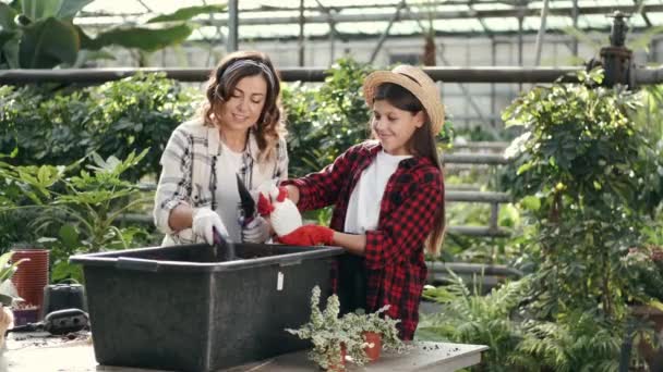 Mujer y niña regando una planta con un rociador — Vídeos de Stock