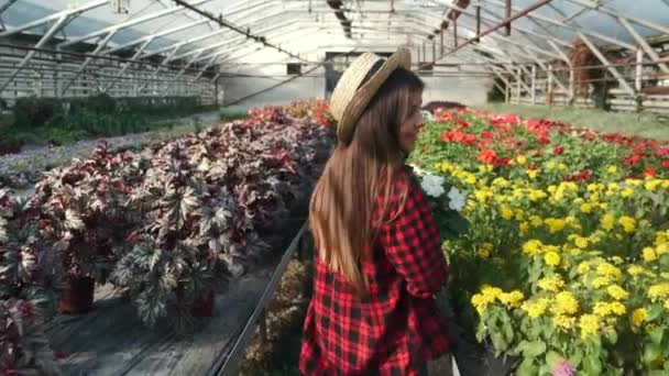 Дівчина в солом'яному капелюсі, що проходить крізь кімнатну рослину — стокове відео