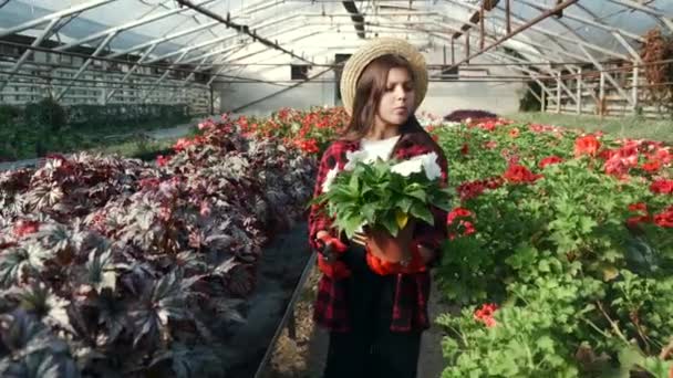 Chica en sombrero de paja pasando por una planta de interior — Vídeos de Stock