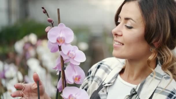 Trabajador de planta en orquídeas de control uniforme — Vídeos de Stock