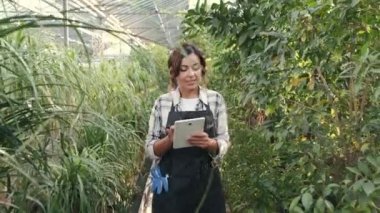 Üniformalı kadın iç tarladaki bitkileri kontrol ediyor.