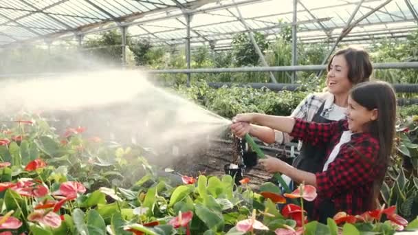 Mujer con hija regando plantas en plantación de interior — Vídeos de Stock