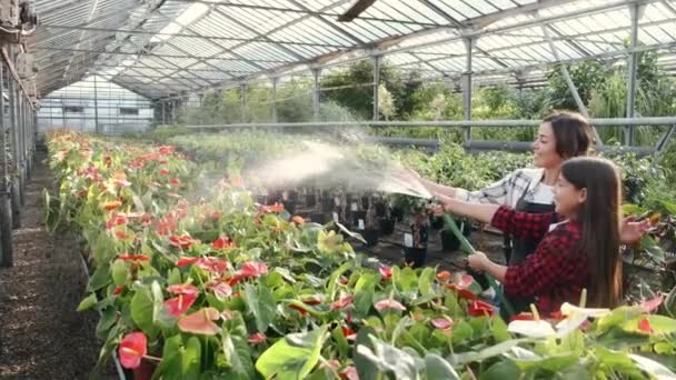 Mujer con hija regando plantas en plantación de interior — Vídeos de Stock