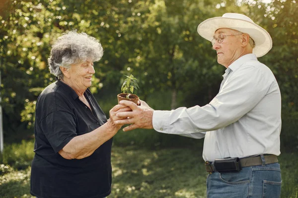 Portrait of seniors in a hat gardening — Stock Photo, Image