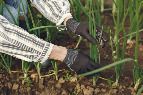 Mujer con sombrero trabajando en un jardín —  Fotos de Stock