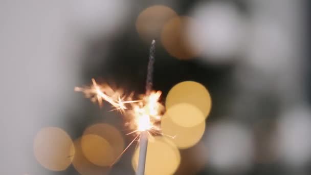 Closeup macro shot of burning New Year sparkler — Stok Video