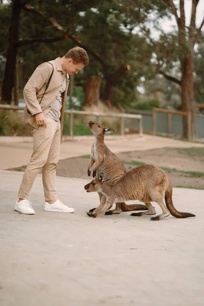 Man in the reserve is playing with a kangaroo — Stock Photo, Image