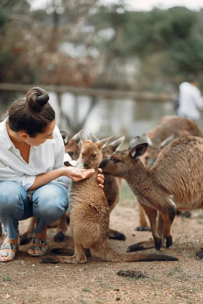 Woman in the reserve is playing with a kangaroo — Stock Photo, Image