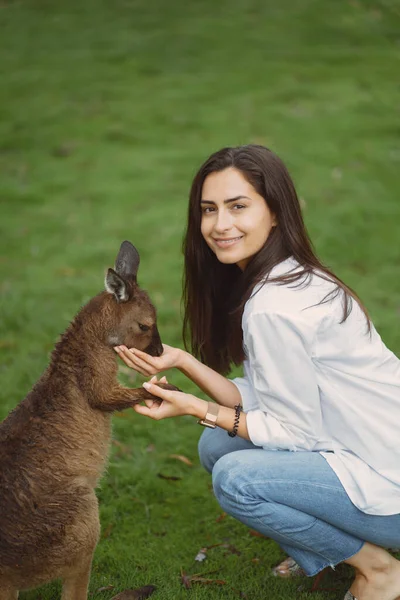 Yedek kulübesindeki kadın bir kanguruyla oynuyor. — Stok fotoğraf