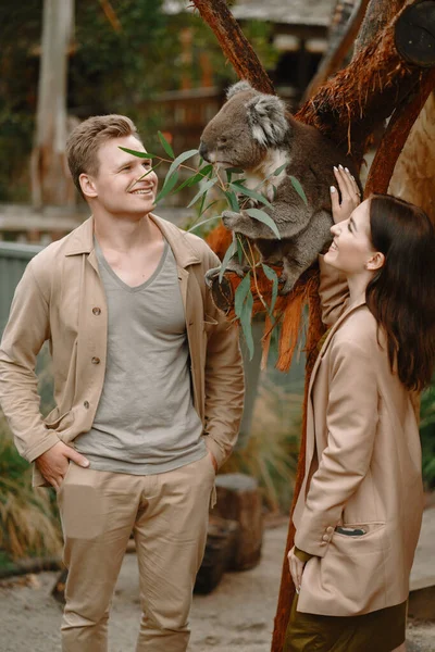 Couple in the reserve is playing with a koala — Stock Photo, Image