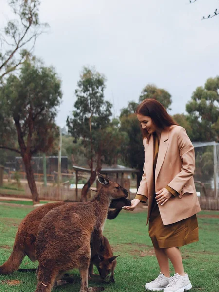 Woman in the reserve playing with a kangaroo — Stock Photo, Image