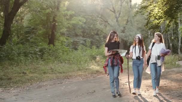 Grupo de caminhantes com mapa indo na floresta — Vídeo de Stock