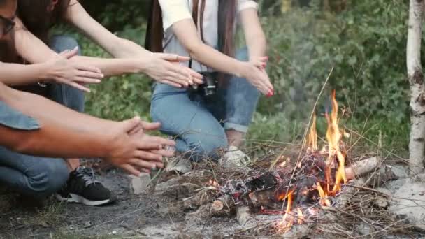 Jonge wandelaars die vuur maken in het bos — Stockvideo