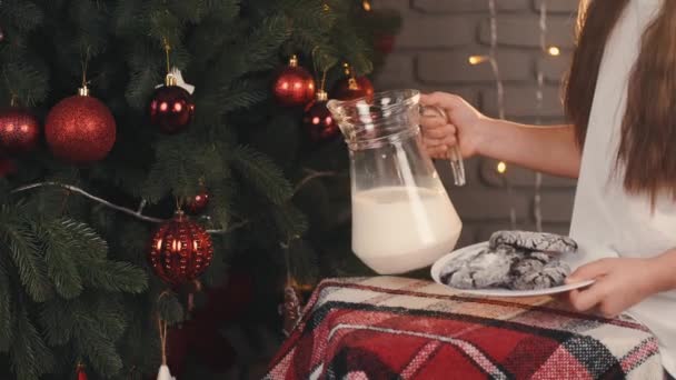 Kinderen verlaten snoep en melk voor de kerstman in de buurt van de kerstboom — Stockvideo