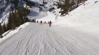 Orman manzarasında güzel karlı dağlarda kayak yapan bir grup eğlenceli insan. Kış sporları. Kayak merkezinde tatil. Etkin yaşam kavramı.