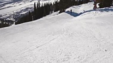 Orman manzarasında güzel karlı dağlarda kayak yapan bir grup eğlenceli insan. Kış sporları. Kayak merkezinde tatil. Etkin yaşam kavramı.