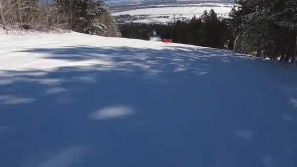 Groep van leuke mensen skiën bergafwaarts op prachtige besneeuwde berg in boslandschap. Wintersport. Vakantie op skigebied. Begrip actief leven. — Stockvideo