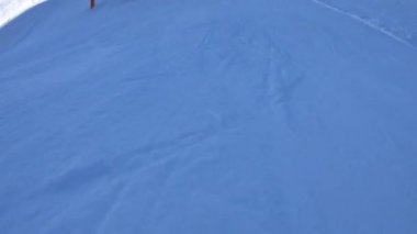 Orman manzarasında güzel karlı dağlarda kayak yapan bir grup eğlenceli insan. Kış sporları. Kayak merkezinde tatil. Etkin yaşam kavramı.