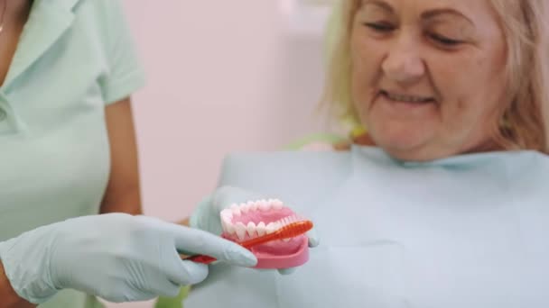 Dentista explica algo no layout dos dentes para sua cliente feminina — Vídeo de Stock