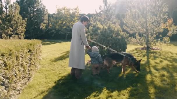 Een jonge moeder met een zoontje die in de tuin loopt met een hond — Stockvideo