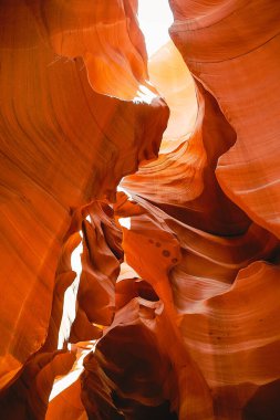 Arizona 'daki Grand Canyon doğa görüntüleri.