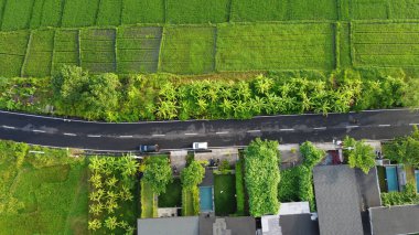Fields in Bali are photographed from a drone clipart