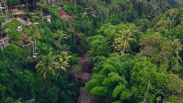 バリ島の森は無人機から撮影されます — ストック写真