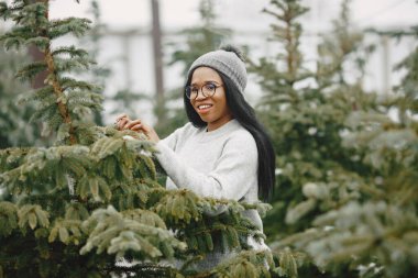 Afrikalı bir kadın Noel ağacı seçiyor.