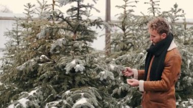 Genç adam dışarıda Noel ağacını seçiyor.