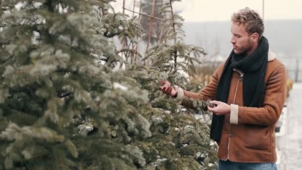 Mladý muž výběru vánoční strom v obchodě venku — Stock video