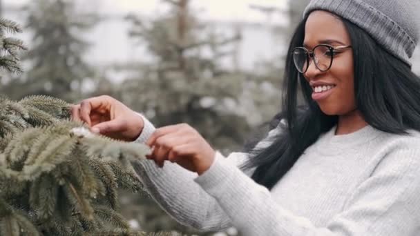 陽気多人種カップルショップのために完璧なクリスマスツリー — ストック動画