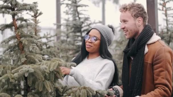 Vrolijk multiraciaal koppel winkel voor de perfecte kerstboom — Stockvideo